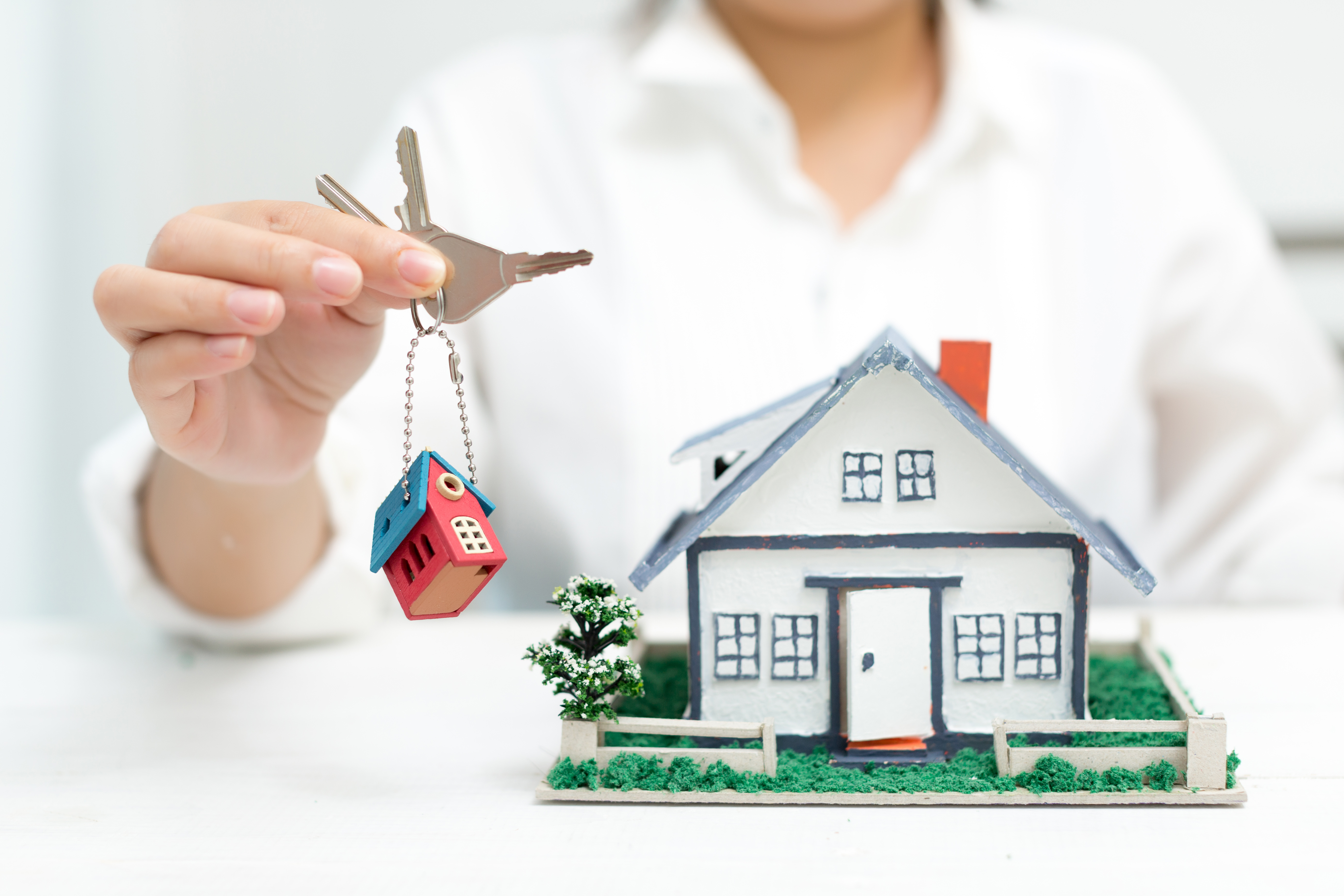 How to Verify Land Documents Before Buying a Plot in Tamil Nadu